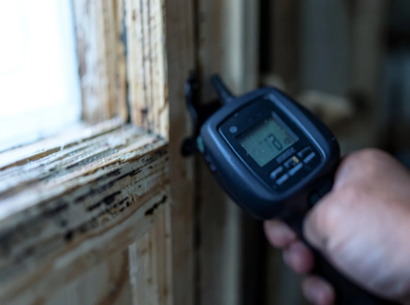 Commercial Water Damage Restoration in Olin, IA